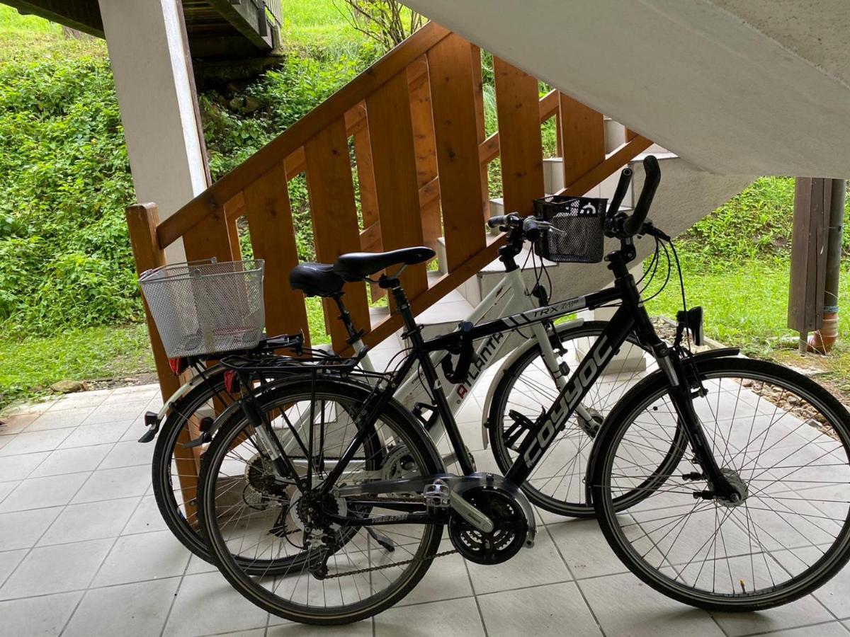 Geschmackvolles Appartement Am Donauradweg Obernzell Dış mekan fotoğraf